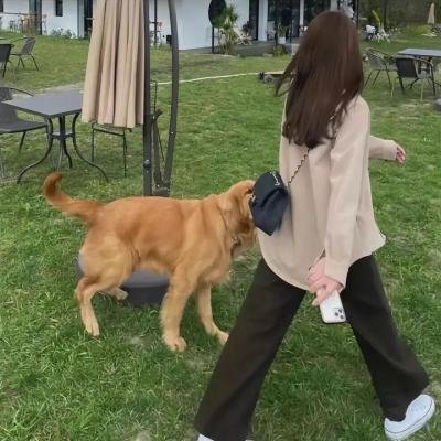 圣女贞德的审判封面
